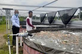 Perikanan Organik : Sehat Jangka Panjang, Makin Banyak Digemari