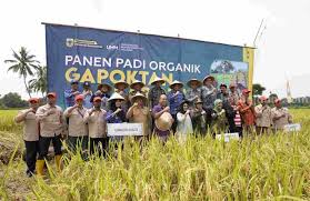 Harga Produk Pertanian Organik Umumnya Lebih Tinggi